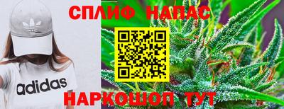 сатива Можайск