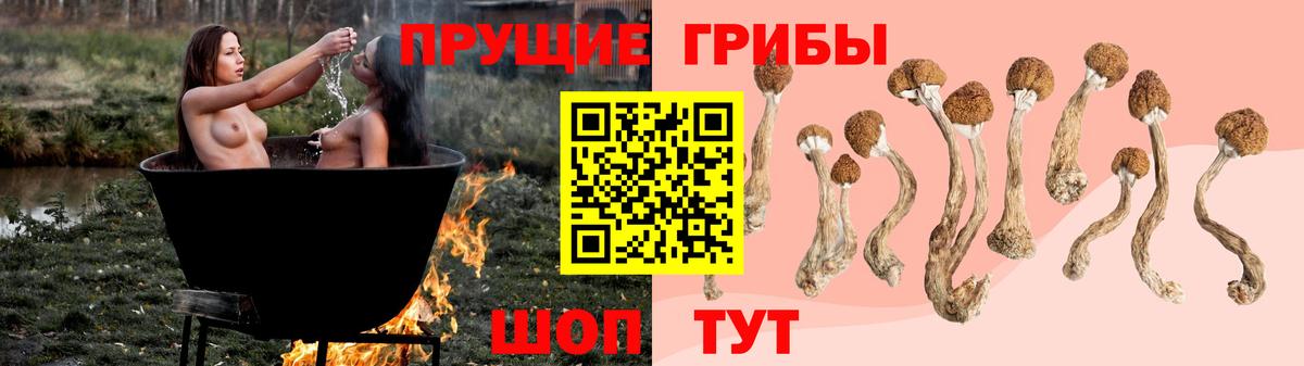 Псилоцибиновые грибы Psilocybe  Вход с VPN  Галлюциногенные грибы Psilocybe  Соль-Илецк 